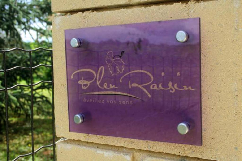 Bleu Raisin Bed & Breakfast Les Salles-de-Castillon Eksteriør bilde