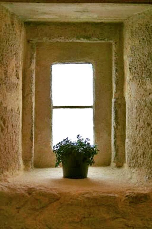 Bleu Raisin Bed & Breakfast Les Salles-de-Castillon Rom bilde